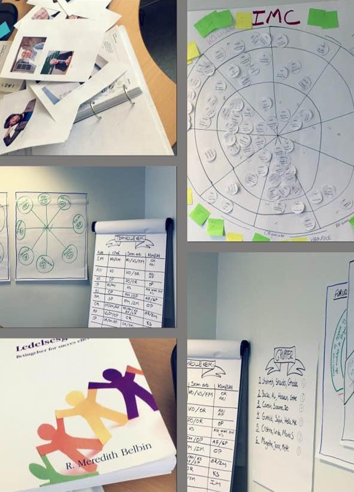 Belbin workshop Undervisning